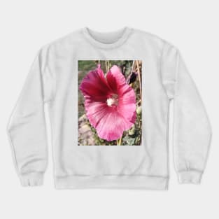 Hollyhock - Alcea rosea Crewneck Sweatshirt